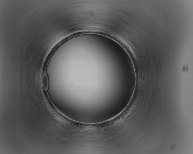 X0000094361085200711241932