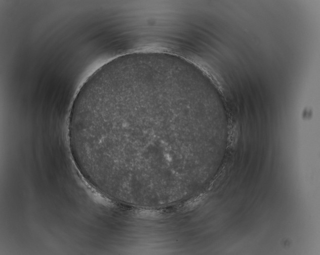 X0000094361086200711241932