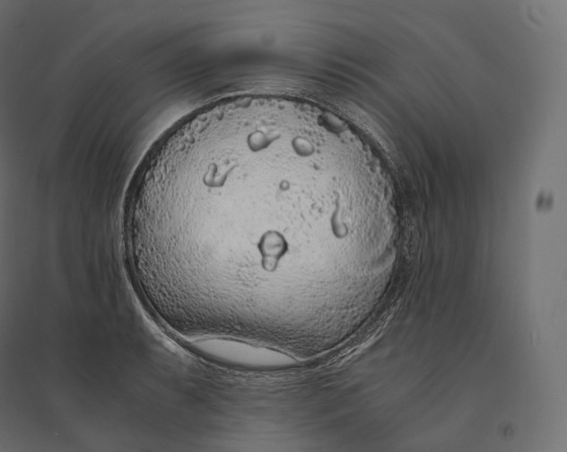 X0000094361087200711241932