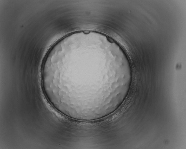 X0000094361088200711241932