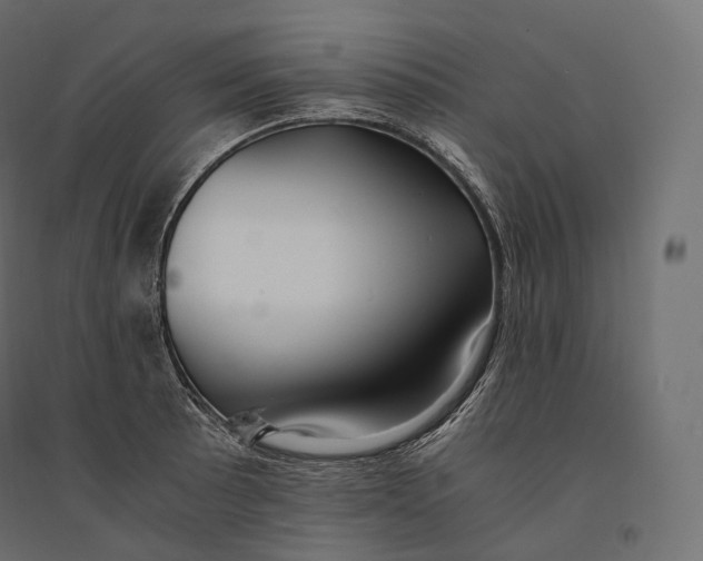 X0000094361089200711241932