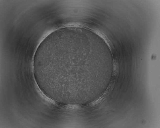 X0000094361090200711241932