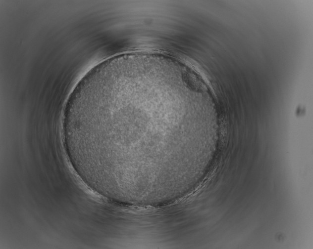 X0000094361091200711241932