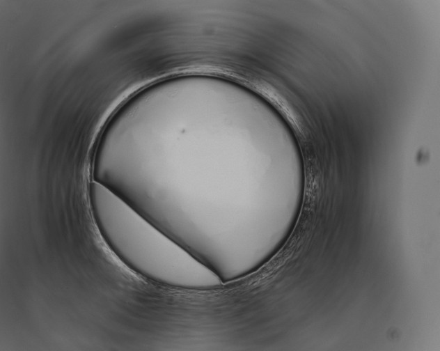 X0000094361092200711241932