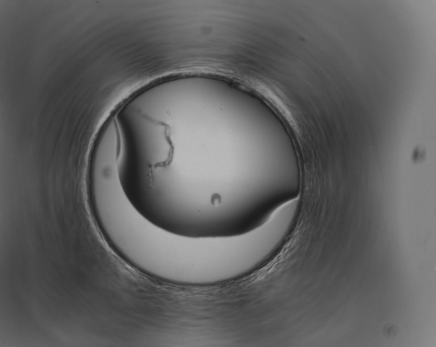 X0000094361093200711241932