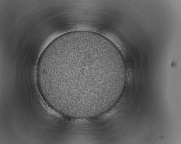 X0000094361094200711241932