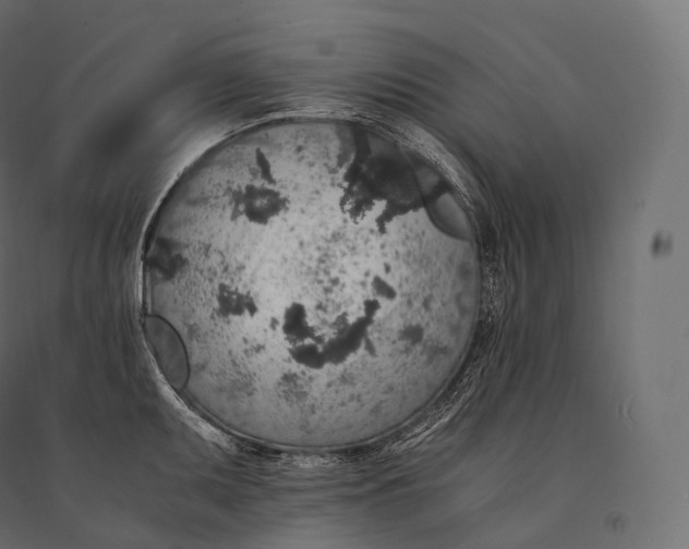 X0000094361095200711241932