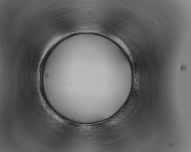 X0000094361096200711241932