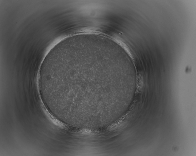 X0000094361098200711241932