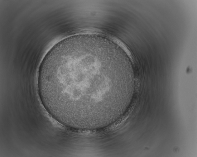 X0000094361099200711241932