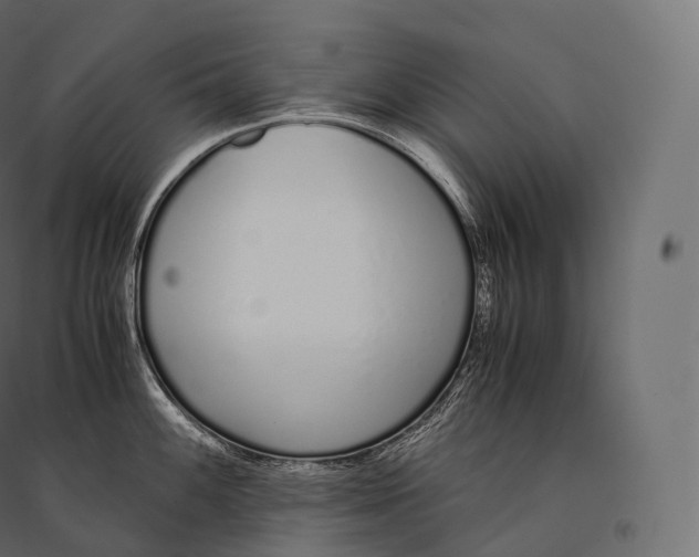 X0000094361100200711241932