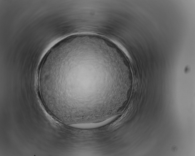 X0000094361101200711241932