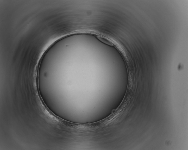 X0000094361102200711241932