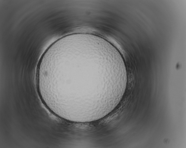 X0000094361103200711241932