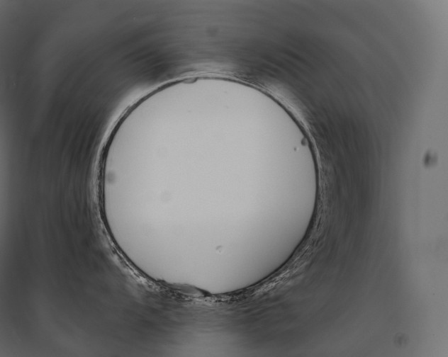 X0000094361104200711241932