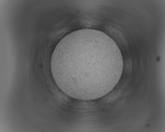 X0000094361105200711241931