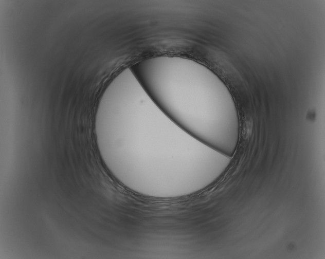 X0000094361108200711241931