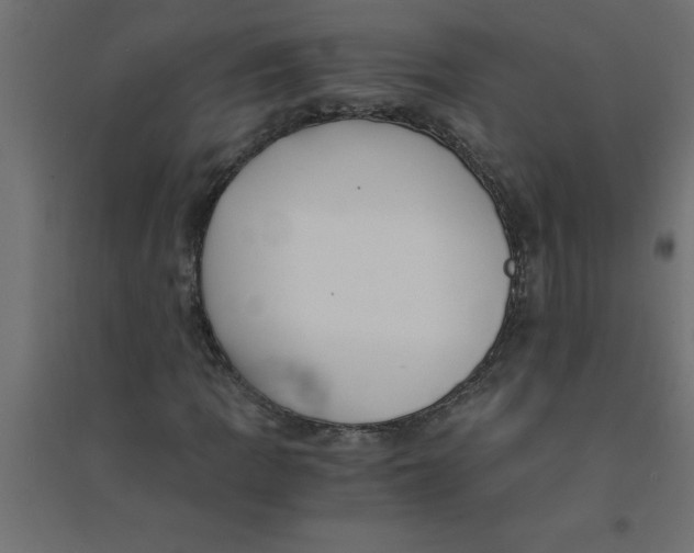 X0000094361109200711241931