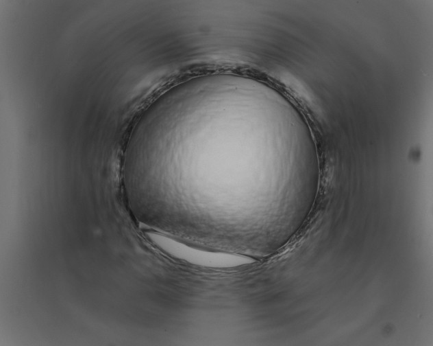 X0000094361110200711241931