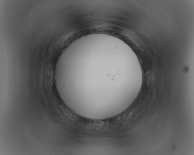 X0000094361111200711241931