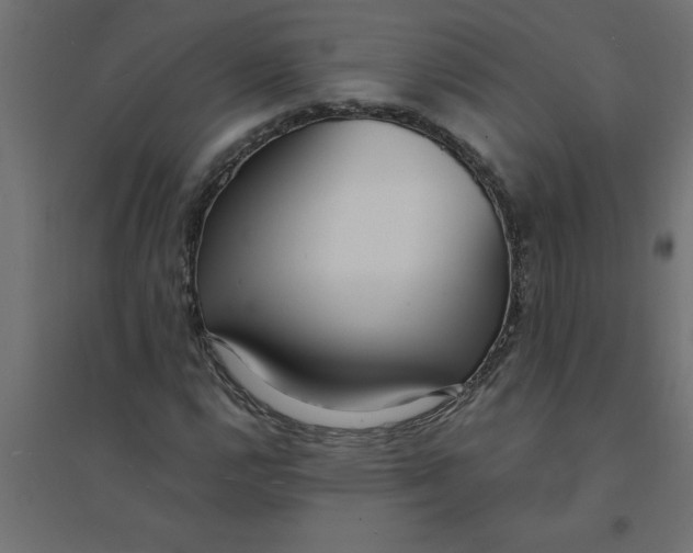 X0000094361112200711241931