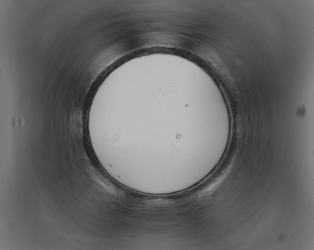 X0000094361113200711241931