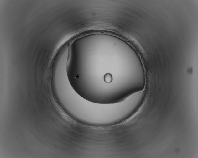 X0000094361114200711241931