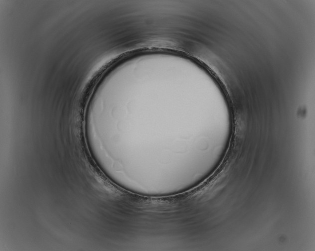 X0000094361115200711241931