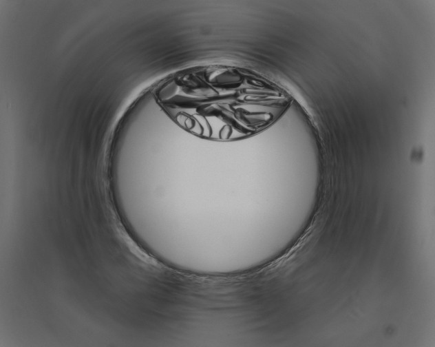 X0000094361116200711241931