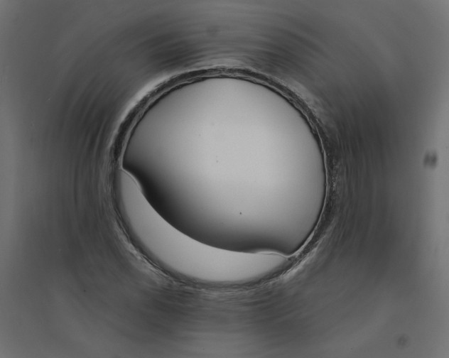 X0000094361118200711241931