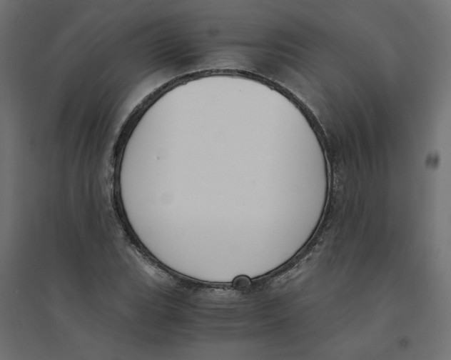 X0000094361119200711241931