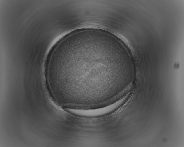 X0000094361120200711241931