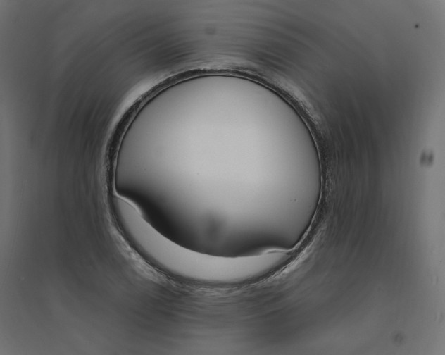 X0000094361122200711241931