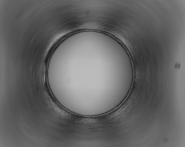 X0000094361123200711241931