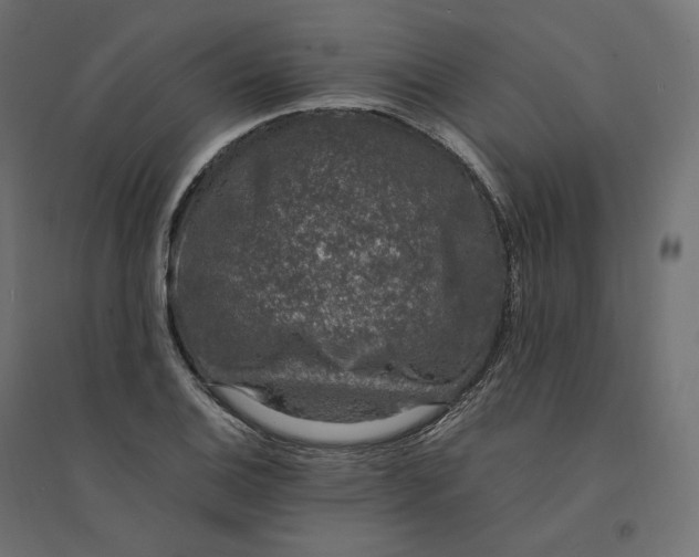 X0000094361124200711241931