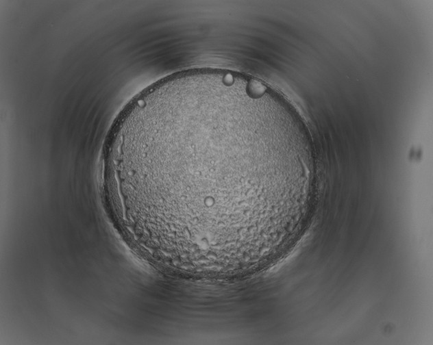 X0000094361125200711241931