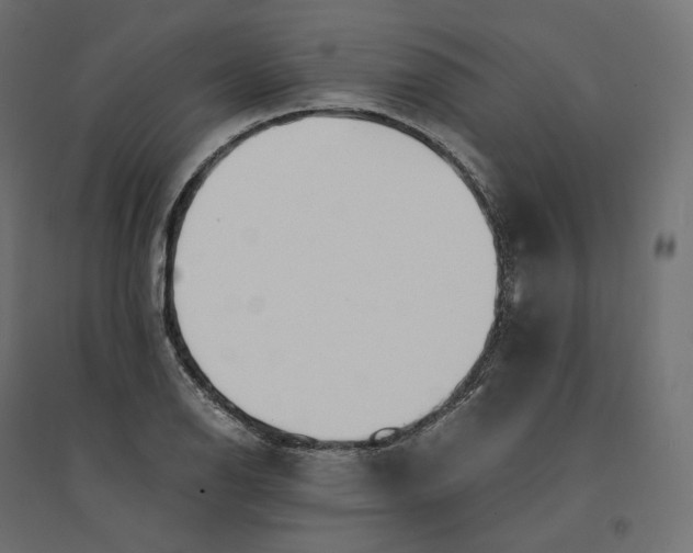 X0000094361126200711241931