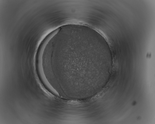 X0000094361128200711241931