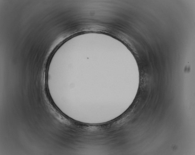 X0000094361130200711241931