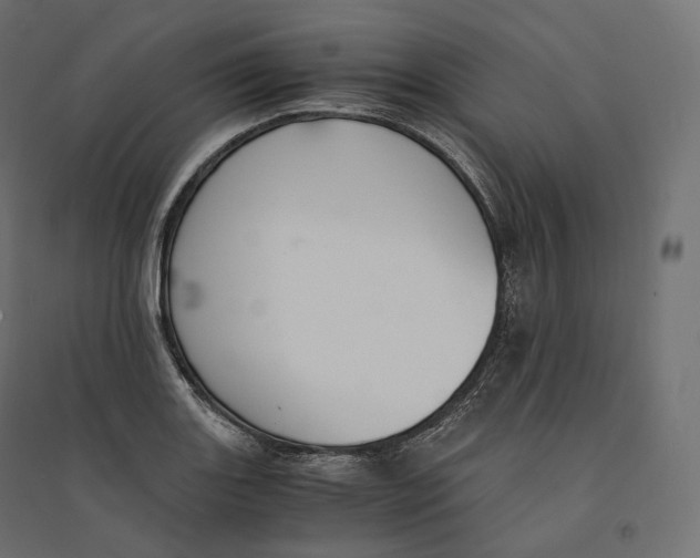 X0000094361131200711241931