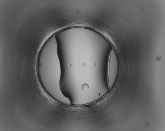 X0000094361132200711241931