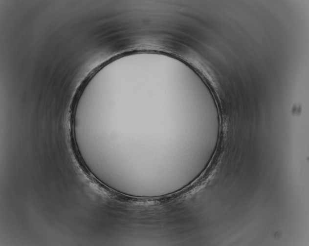 X0000094361133200711241931