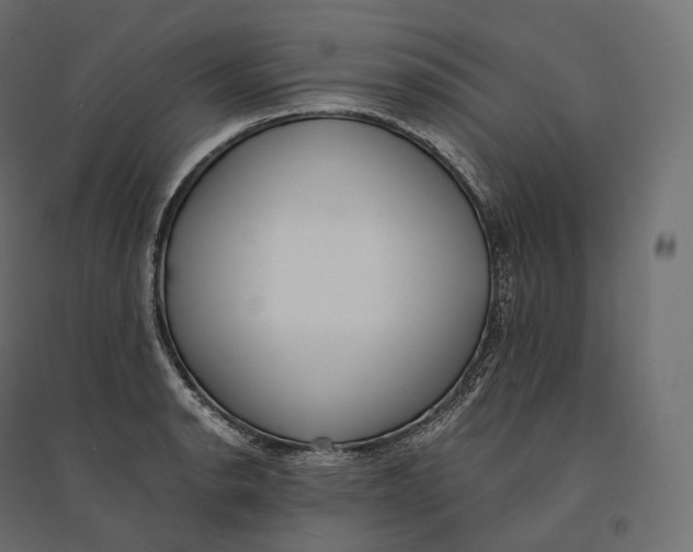 X0000094361134200711241931