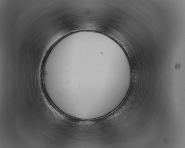 X0000094361135200711241931