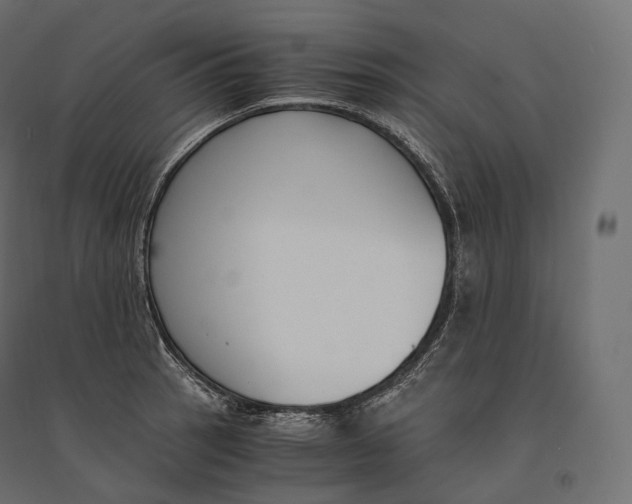 X0000094361137200711241931