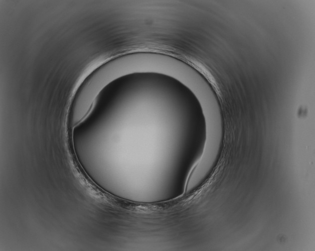 X0000094361138200711241931