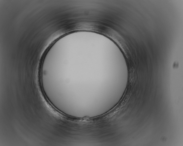 X0000094361139200711241931