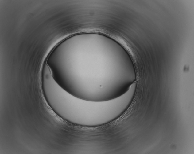 X0000094361140200711241931