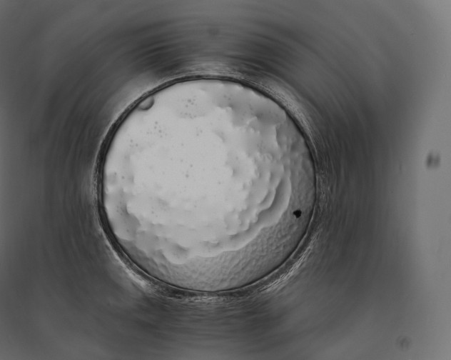 X0000094361141200711241931