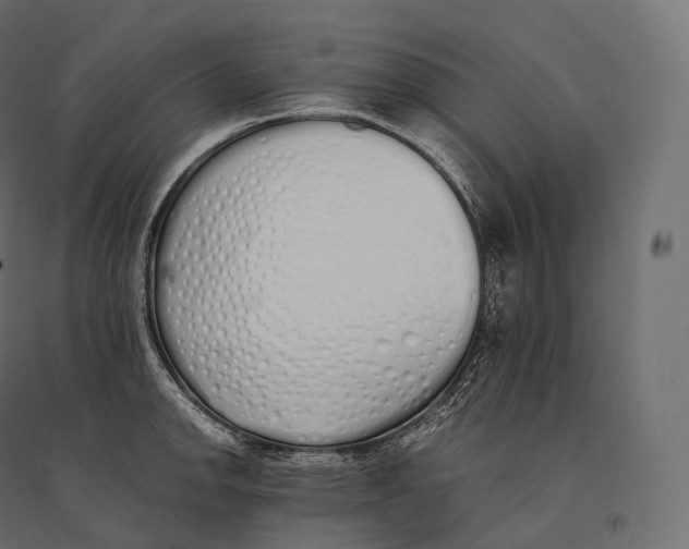 X0000094361142200711241931